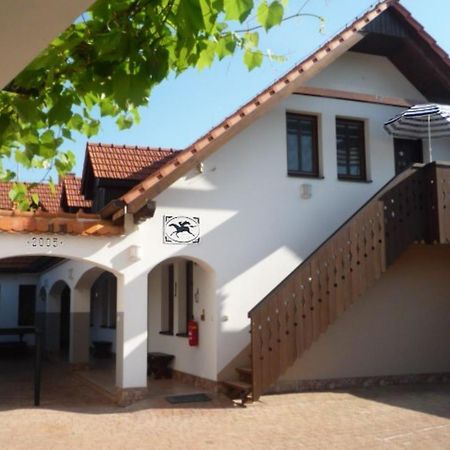 Pension Cerny Jezdec Леднице Екстериор снимка